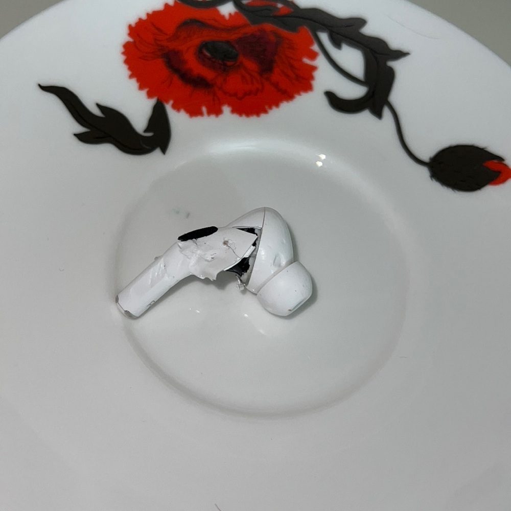 My dog ate my right airpod pro